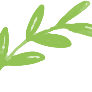 Organic Pigeon Peas